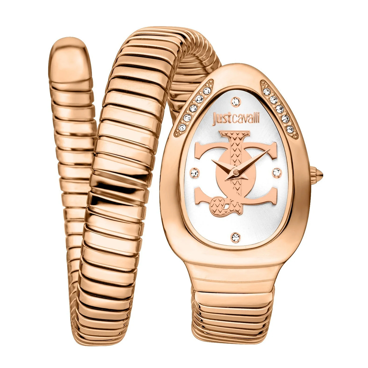 MONTRE JUST CAVALI FEMME ACIER